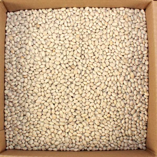 Commodity Beans Commodity Navy Pea Beans 20lbs 02015